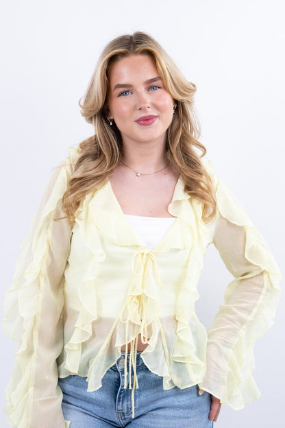 Sun kissed sheer top